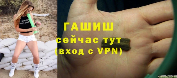 сатива Богданович