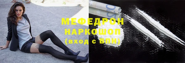 сатива Богданович