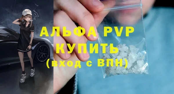 сатива Богданович