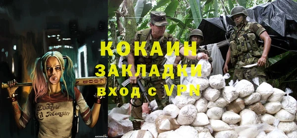 сатива Богданович