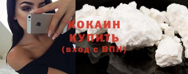 сатива Богданович