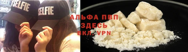 сатива Богданович