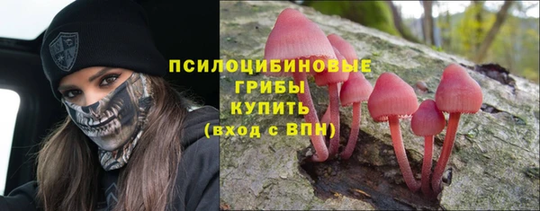 СК Бородино