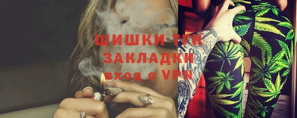 СК Бородино